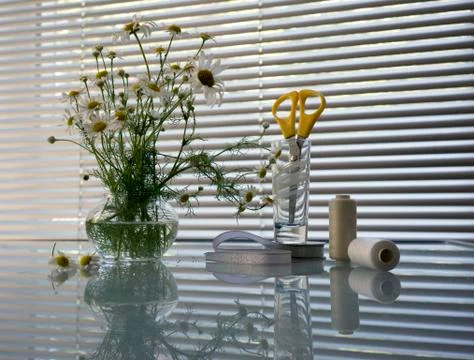 Daisies, thread, spools, scissors. still life in white Stock Photos