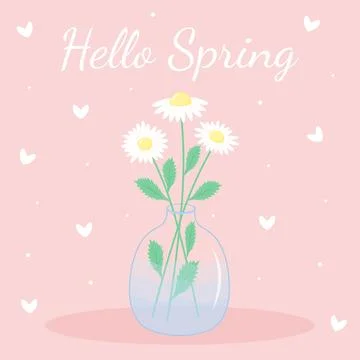 Daisies in the transparent vase. Hello spring lettering. Greeting card. Stock Illustration