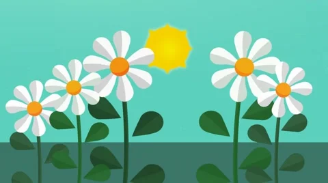Daisies  - Vector Animation - Photosynthesis Stock Footage 61113611