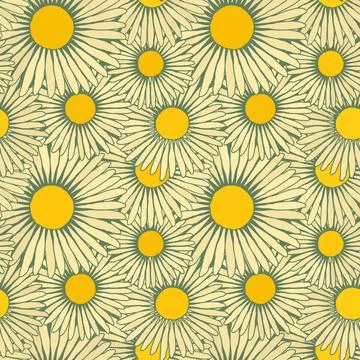 Daisies vector seamless pattern Stockillustratie
