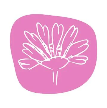 Daisy with abstract shapes hand drawn illustration. Line art. Isolated on white Stock Illustration