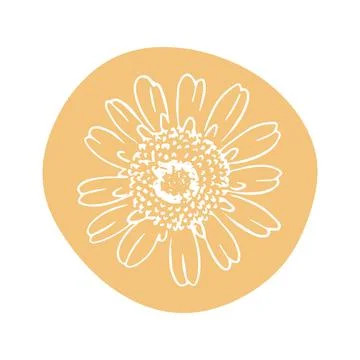 Daisy with abstract shapes hand drawn illustration. Line art. Isolated on white Stock Illustration
