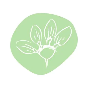 Daisy with abstract shapes hand drawn illustration. Line art. Isolated on white Stock Illustration