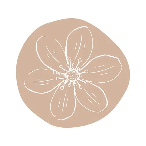 Daisy with abstract shapes hand drawn illustration. Line art. Isolated on white Stock Illustration