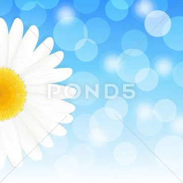Daisy and sky Stock Illustration