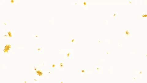 Daisy Bloom Burst on Pastel Background Stock Footage 303613737