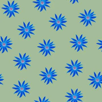 Daisy Blue Flower Seamless Pattern. Floral Digital Paper. Illustrazione stock