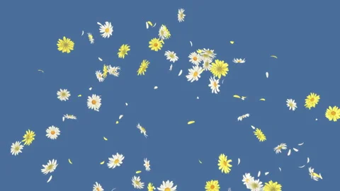 Daisy Burst on Pastel Background Stock Footage 245486815