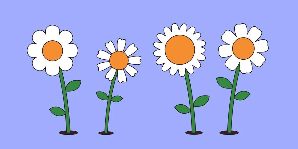 Daisy, camomile flowers, flat vector illustration Illustrazione stock