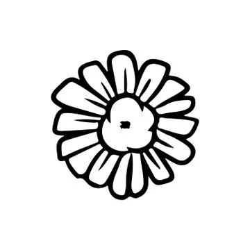 Daisy chamomile flower black and white lineart doodle isolated on white backg Stock Illustration