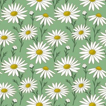 Daisy chamomile flowers spring summer seamless vector pattern Illustrazione stock