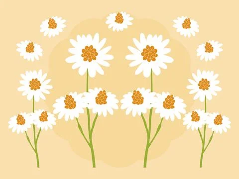 Daisy Concept Illustration Stock Illustration