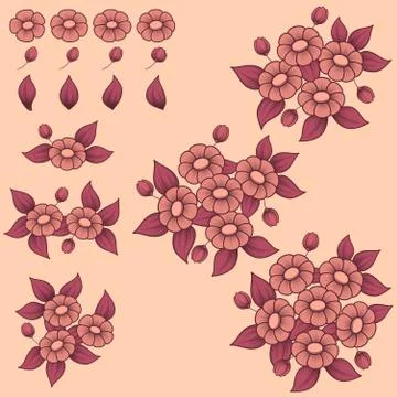 Daisy coral elemants Stock Illustration