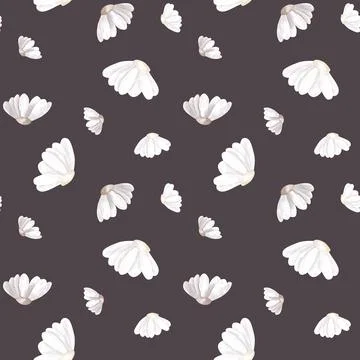 Daisy cute watercolor pattern on isolated white background. . Around the daisy Illustrazione stock