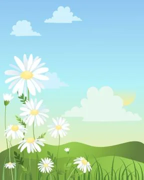Daisy design Stock Illustration