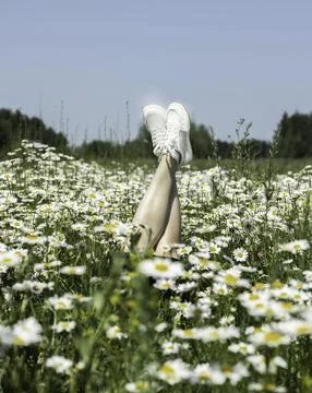 Daisy Dreams Foto stock