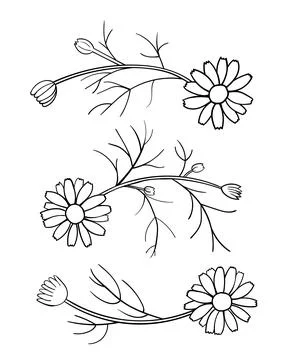 Daisy elements for pattern. Black contour on white background. Simple vector Stock Illustration