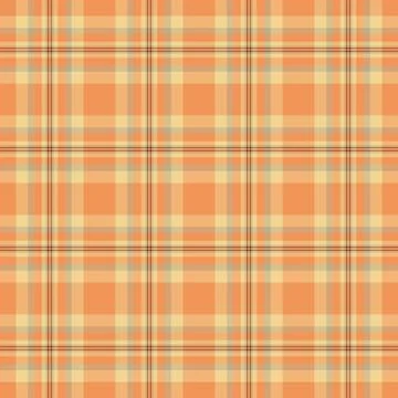 Daisy fabric pattern check, purchase seamless textile plaid. Customizable b.. Stockillustratie