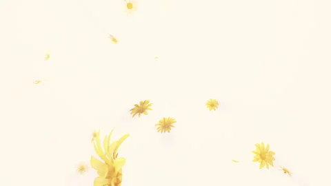 Daisy Fall on Pastel Stock Footage 277013201