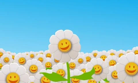 Daisy field Stock Illustration