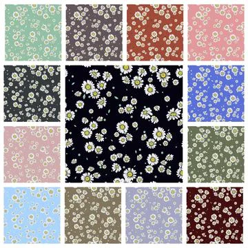 Daisy Floral Seamless Pattern Set, Vector Illustration. White Daisies on 스톡 일러스트