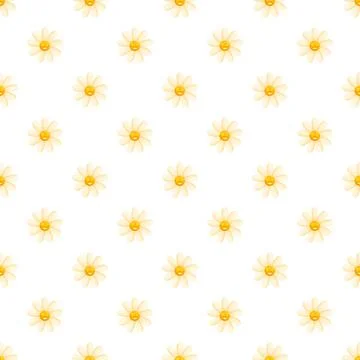Daisy floral seamless pattern on white background 库存插图