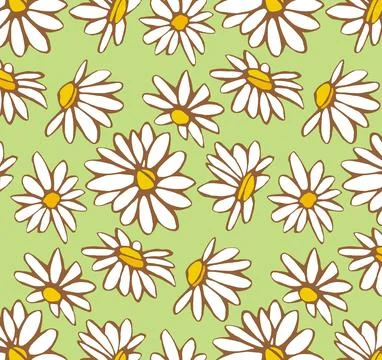 Daisy flowe hand drawn design Stock Illustration