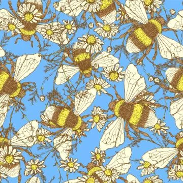 Daisy flower and bees Stock Illustration