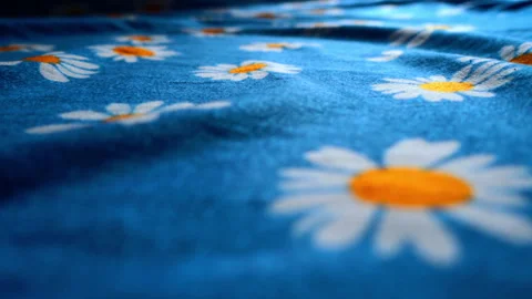 Daisy flower on blue bedsheet Stock Footage 317839005