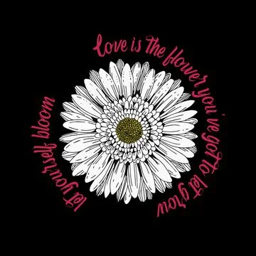 Daisy flower draw with slogan Vector Illustrazione stock