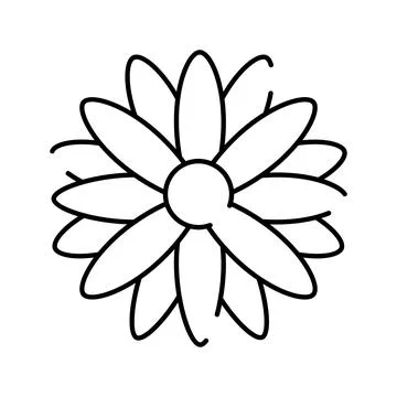 Daisy flower drawing icon with simple line art Stock Illustration