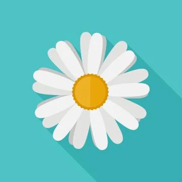 Daisy flower flat icon Illustrazione stock