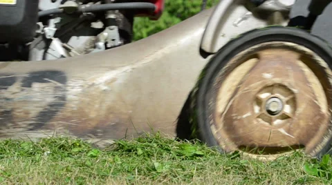 Daisy flower in meadow and worker lawn cutter mower cut grass Stock Footage 32940155