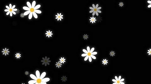  Daisy Flower Motion Endless Space, Spring And Nature Background Stock Footage 183351108