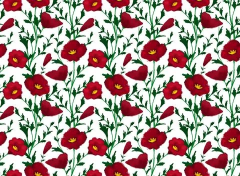 Daisy flower pattern Stock Illustration