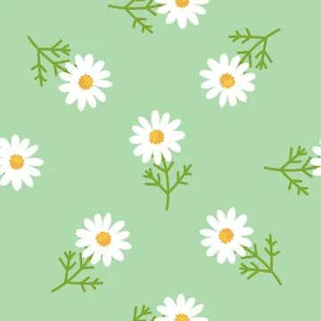 Daisy flower seamless pattern on green background Stock Illustration