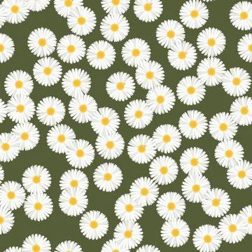 Daisy flower seamless pattern vector. 库存插图