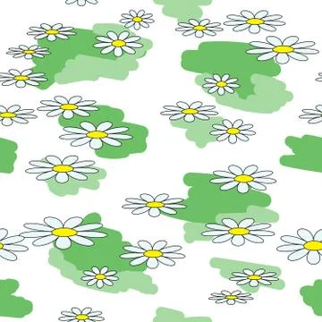 Daisy flower seamless pattern on white background. Stock Illustration