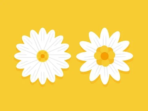 Daisy Flower Sticker Collection with White Petals and Yellow Floral Illustr.. Illustration