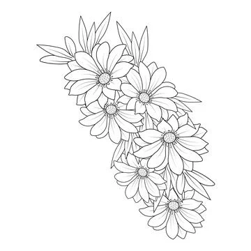 Daisy flower vector art, daisy flower vector, daisy illustration Stock Illustration
