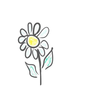 Daisy flower, vector image Stock Illustration