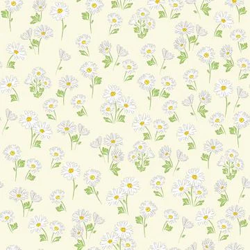 Daisy flower vector seamless pattern. Stock Illustration
