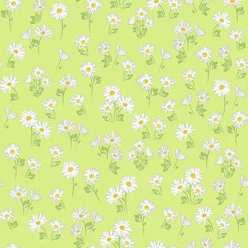 Daisy flower vector seamless pattern. Illustrazione stock