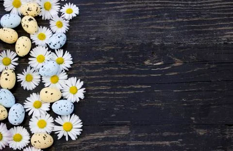 Daisy flowers and Easter eggs Foto stock
