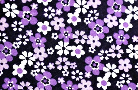 Daisy Flowers Background Stock Photos