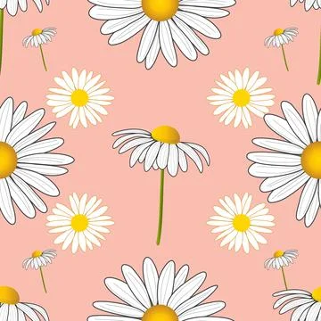 Daisy flowers vector seamless pattern on pink background Stock Illustration