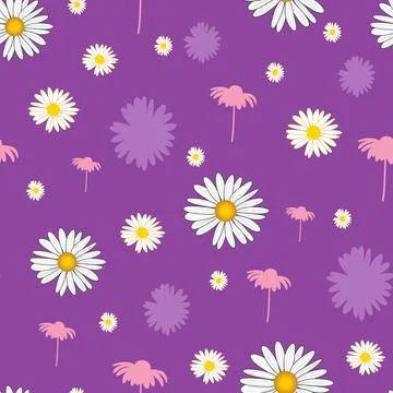 Daisy flowers vector seamless pattern on purple background Stock Illustration