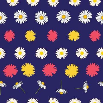 Daisy flowers vector seamless pattern on dark blue Stock Illustration
