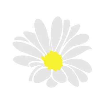 Daisy fsummer flower, floral elements hand drawn Stock Illustration