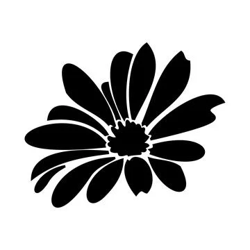 Daisy fsummer flower, floral elements hand drawn Stock Illustration